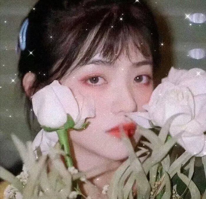 星星伴我心
