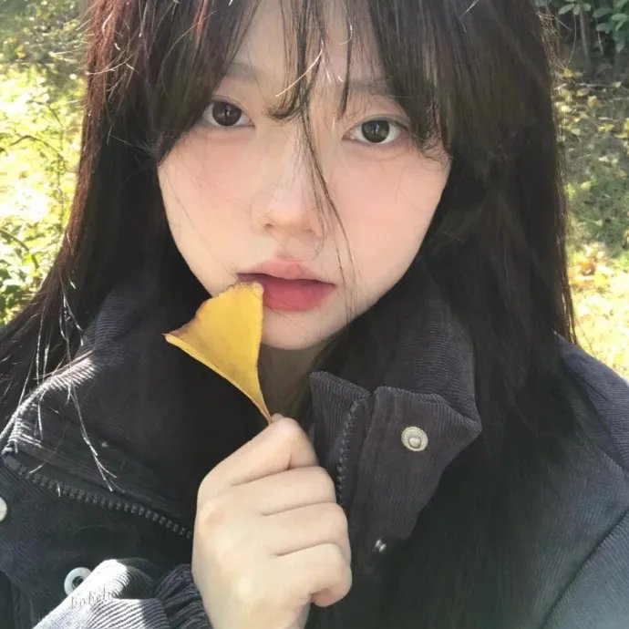 爱侣
